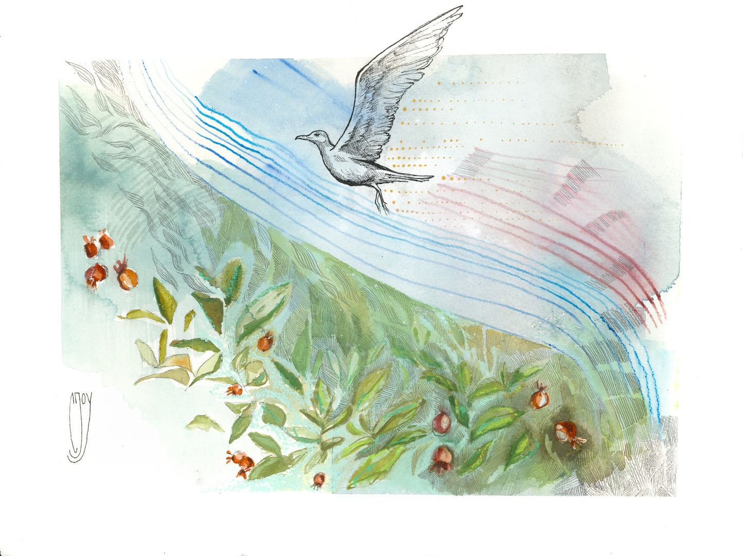 ~ Where the Gull Calls Home ~