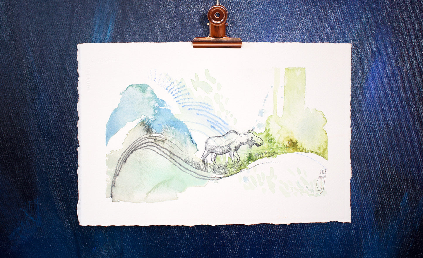 ~ Alaska Moose - Ecosystem Engineers ~