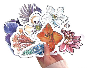 ~ Birth Flower Stickers ~