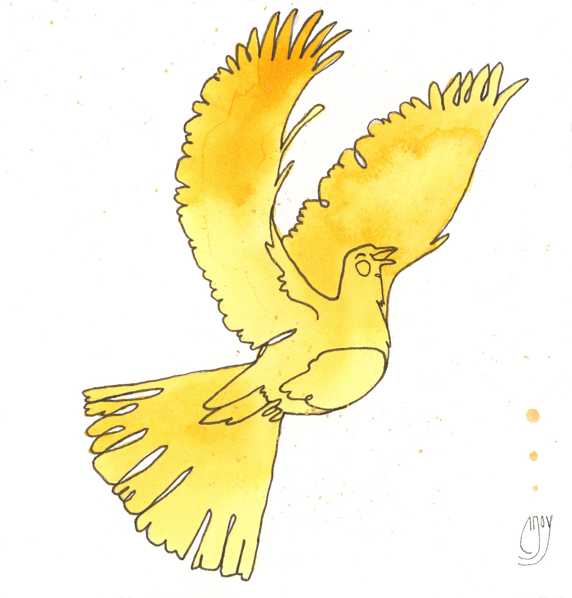 Joy Dove