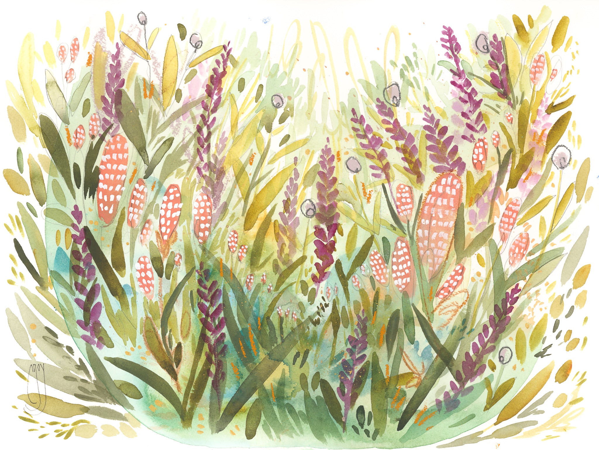 Wild Growers I