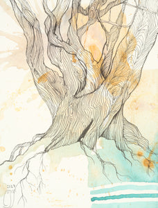 Teal Oak