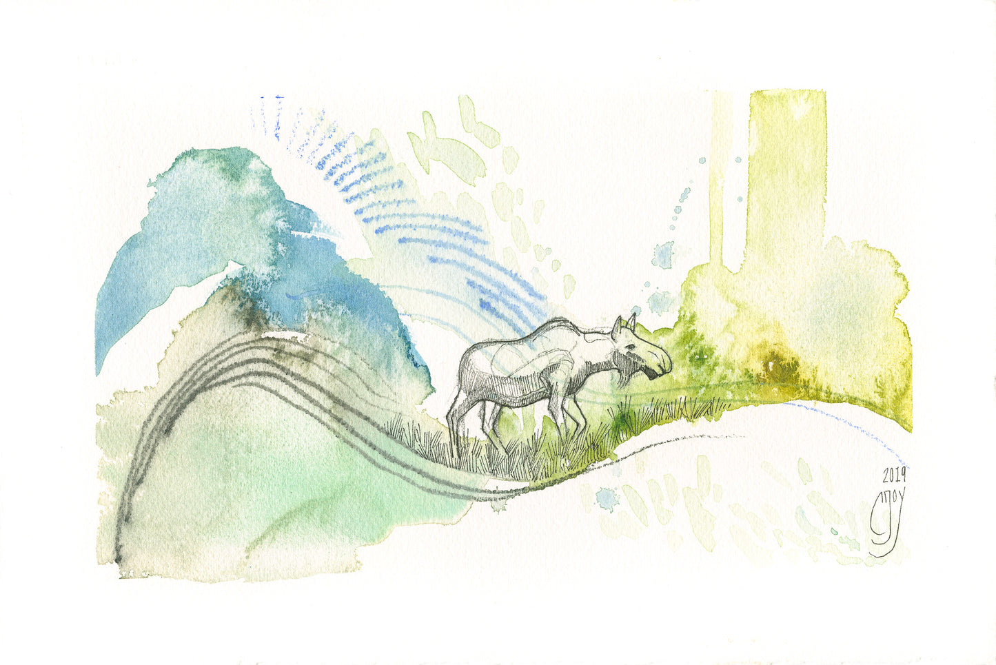 ~ Alaska Moose - Ecosystem Engineers ~